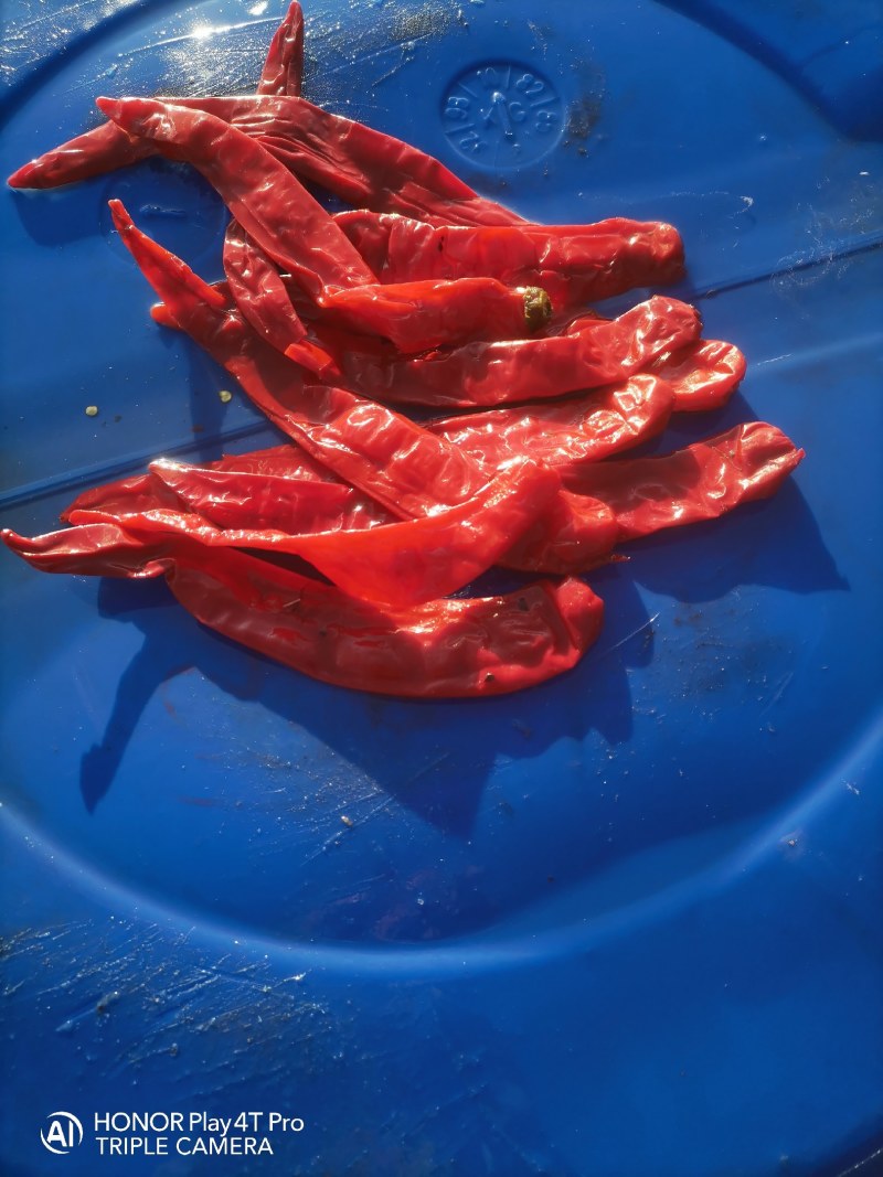 腌制的羊角红，津红，线椒，，质量好，都是软皮椒