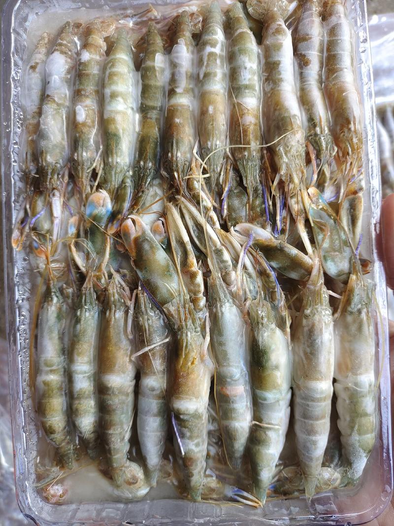 新鲜海龙虾，现在正是吃海龙虾的季节，爆香麻辣都美味。