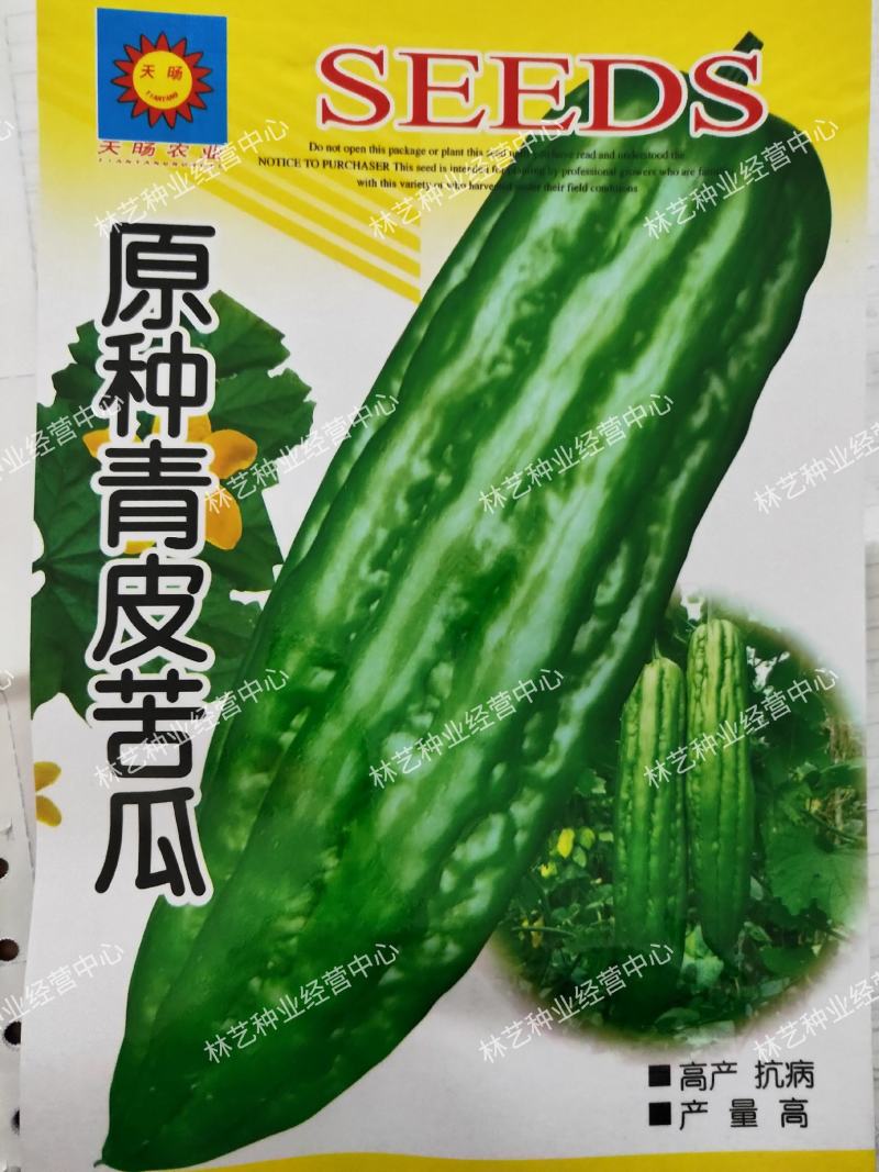 原种青皮苦瓜种籽春夏季蔬菜种子蔬果大肉青翠绿苦瓜种子盆栽