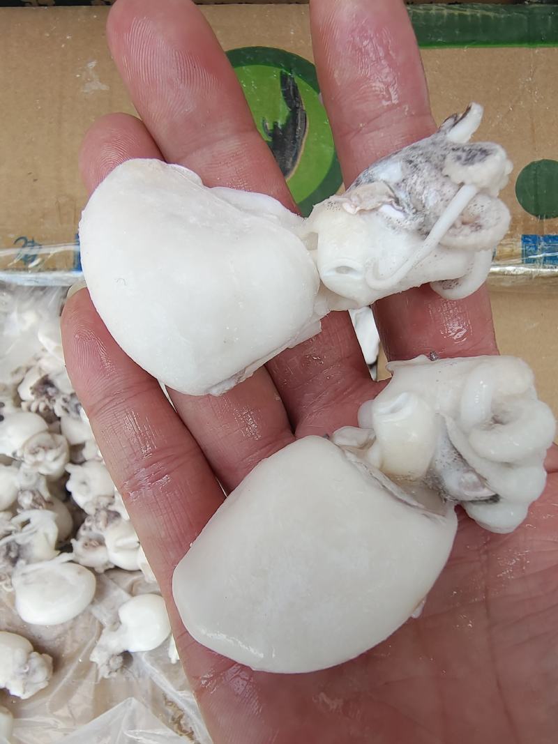 干水墨鱼仔，不发水，不添加任何化学剂，一手货源，工厂直销