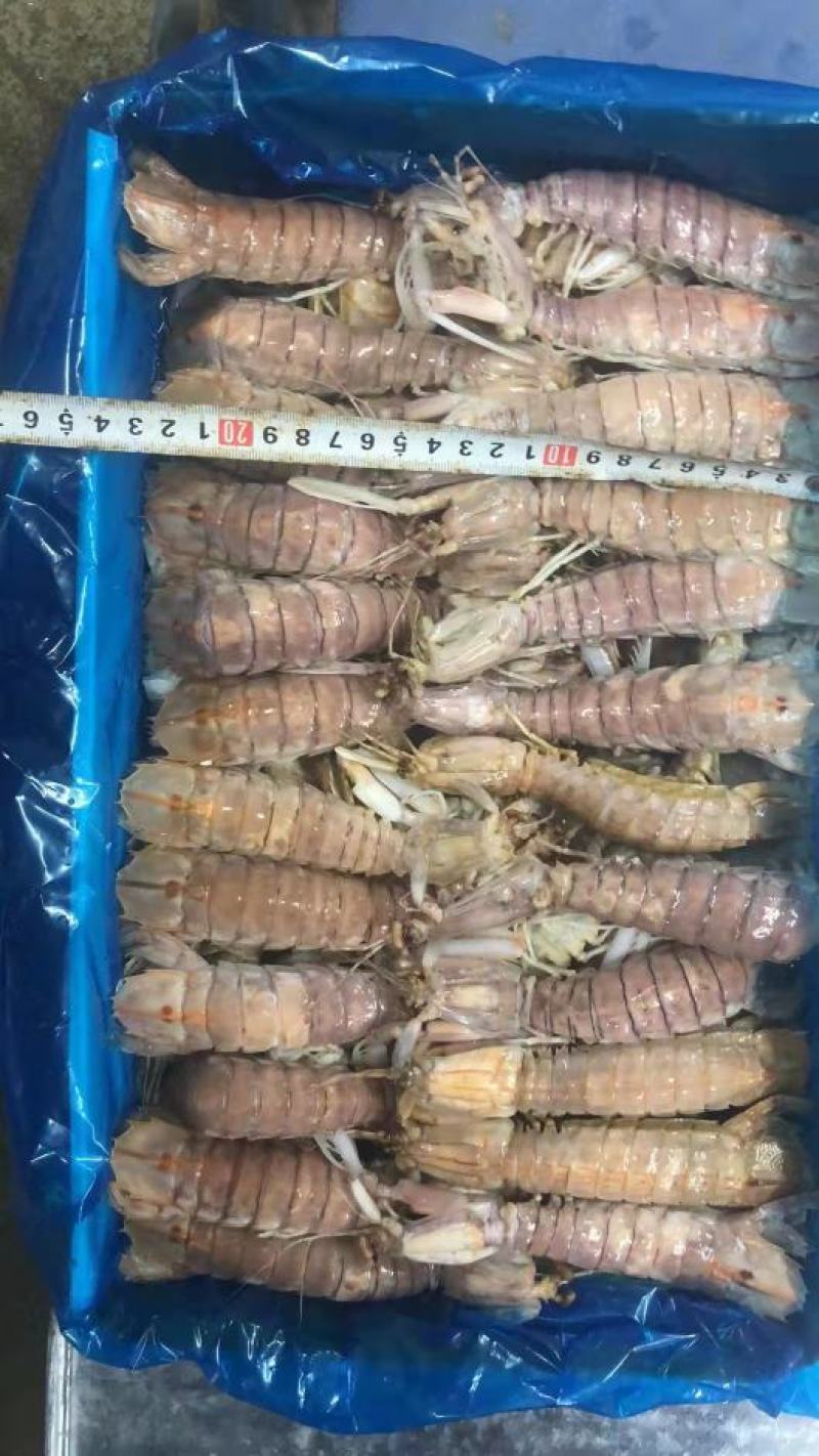 多肉活煮爬爬虾，不添加任何化学剂，一手货源，工厂直销。