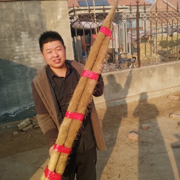 新鲜九斤黄山药，正在上货中大量上市，欢迎新老朋友，采购