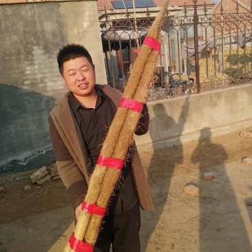 大量现货，正在走货中，欢迎各位老板采购，