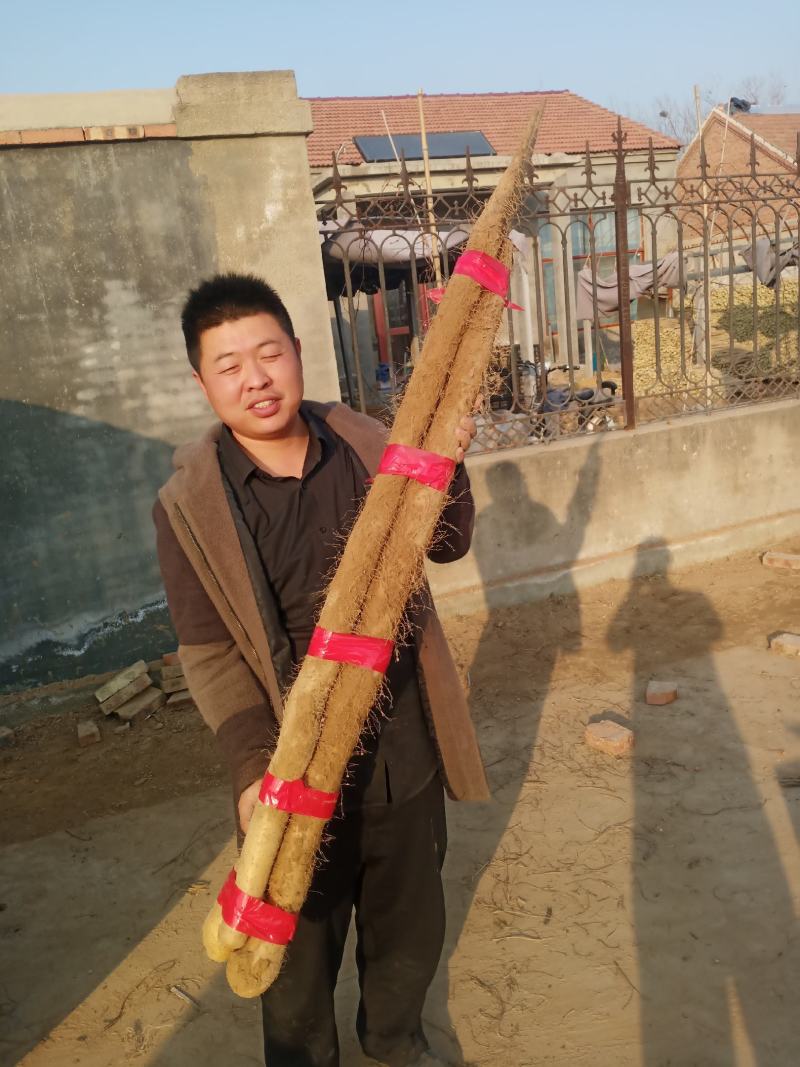 大量现货，正在走货中，欢迎各位老板采购，
