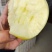 烟台奶油富士苹果黄金富士