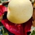 烟台奶油富士苹果黄金富士