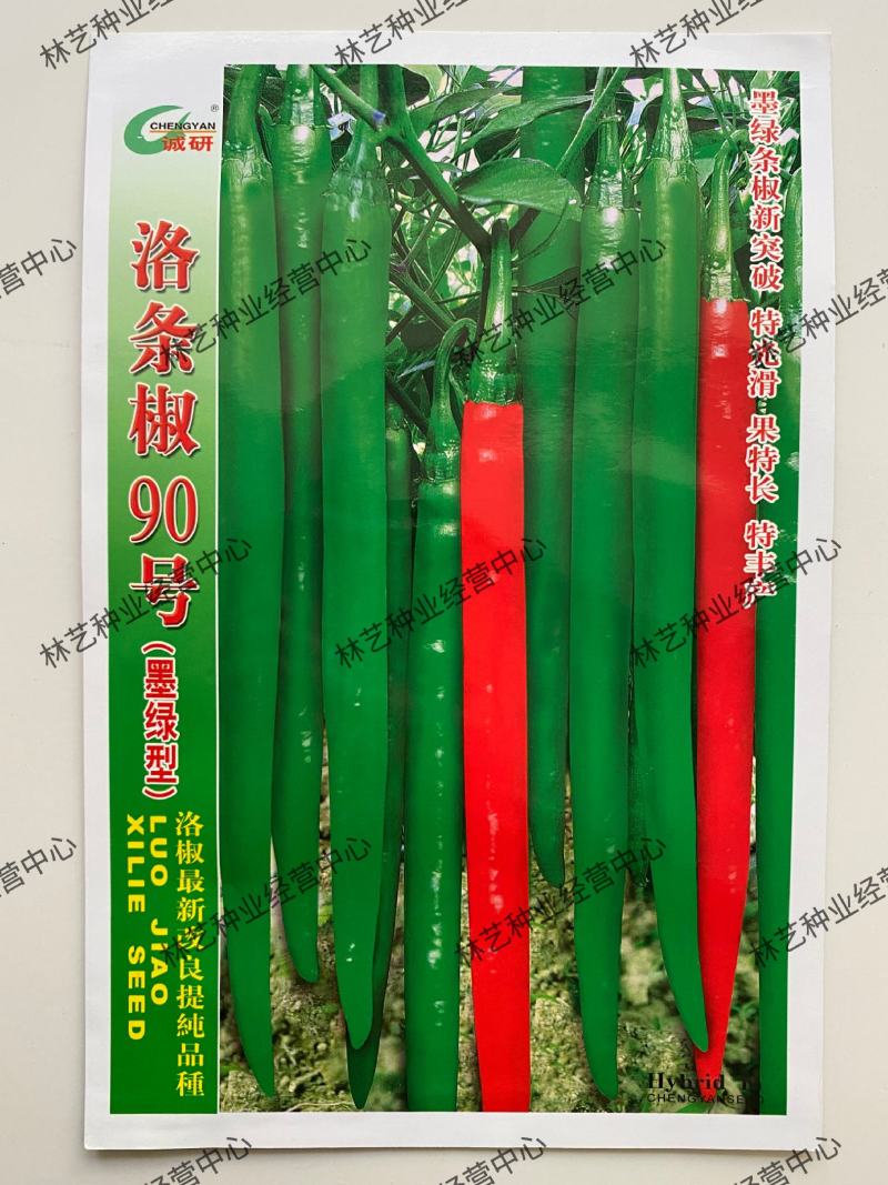 洛椒条椒90号长线椒种子辣味香浓皮薄高产光滑