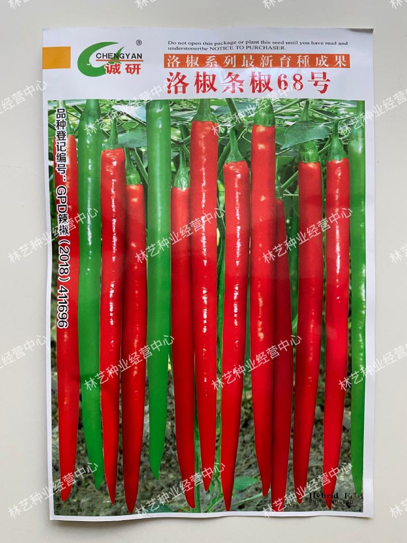 洛椒条椒68号条椒种子辣椒种子条椒种子线椒种子量大优惠