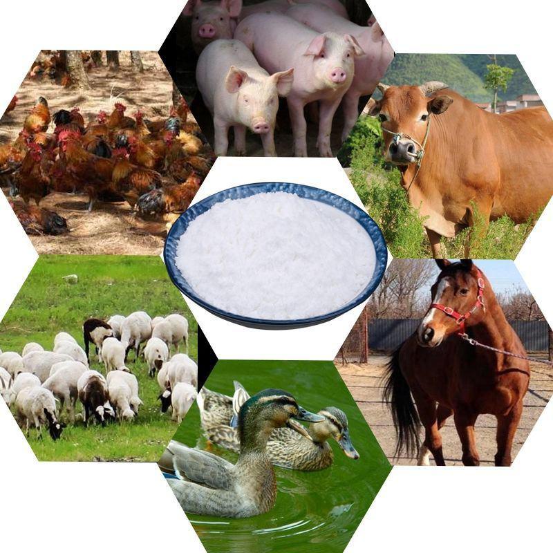 兽用小苏打粉猪牛羊饲料添加剂碳酸氢钠养殖用鸡鸭鹅畜牧禽畜