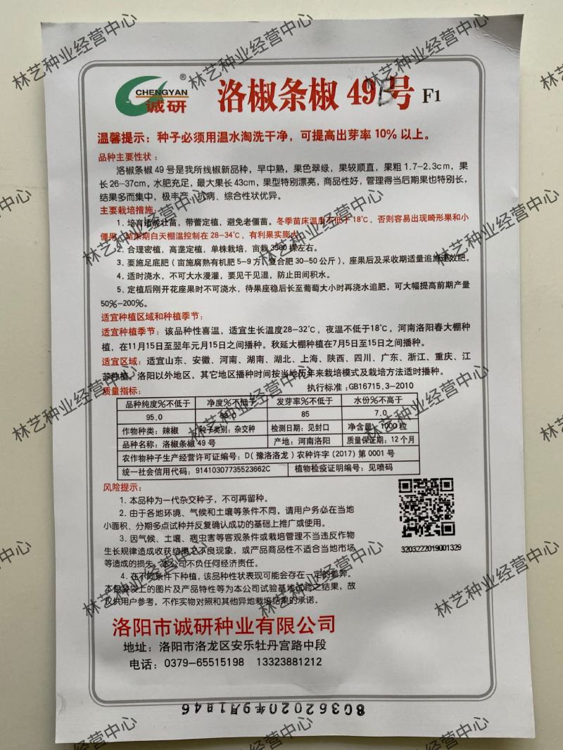 洛椒条椒49号长线椒种子辣味香浓皮薄高产光滑