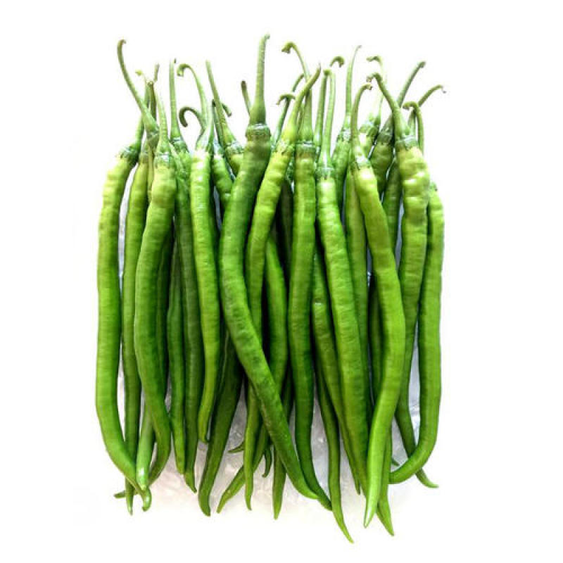 农家自种二荆条线椒现摘新鲜蔬菜青椒薄皮青线椒辣椒泡椒，