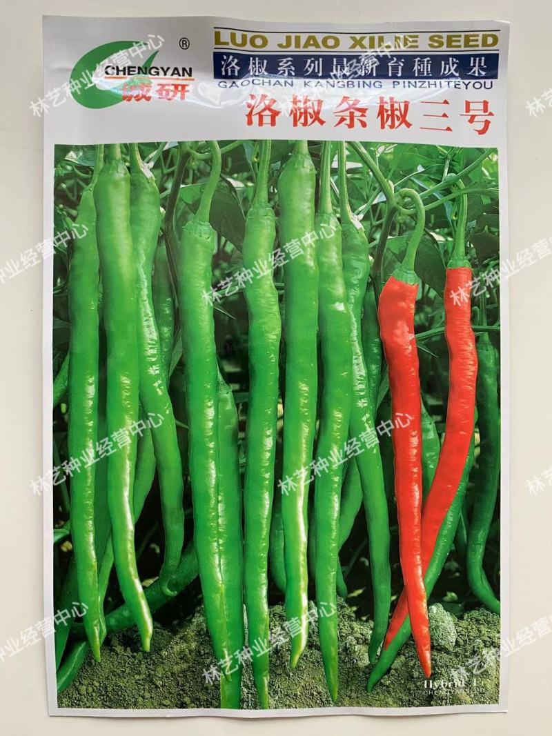 诚研洛椒条椒3号线椒辣椒种孑籽子大果早中熟翠绿