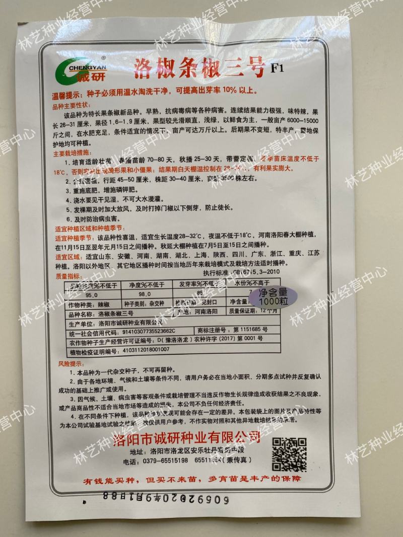 诚研洛椒条椒3号线椒辣椒种孑籽子大果早中熟翠绿