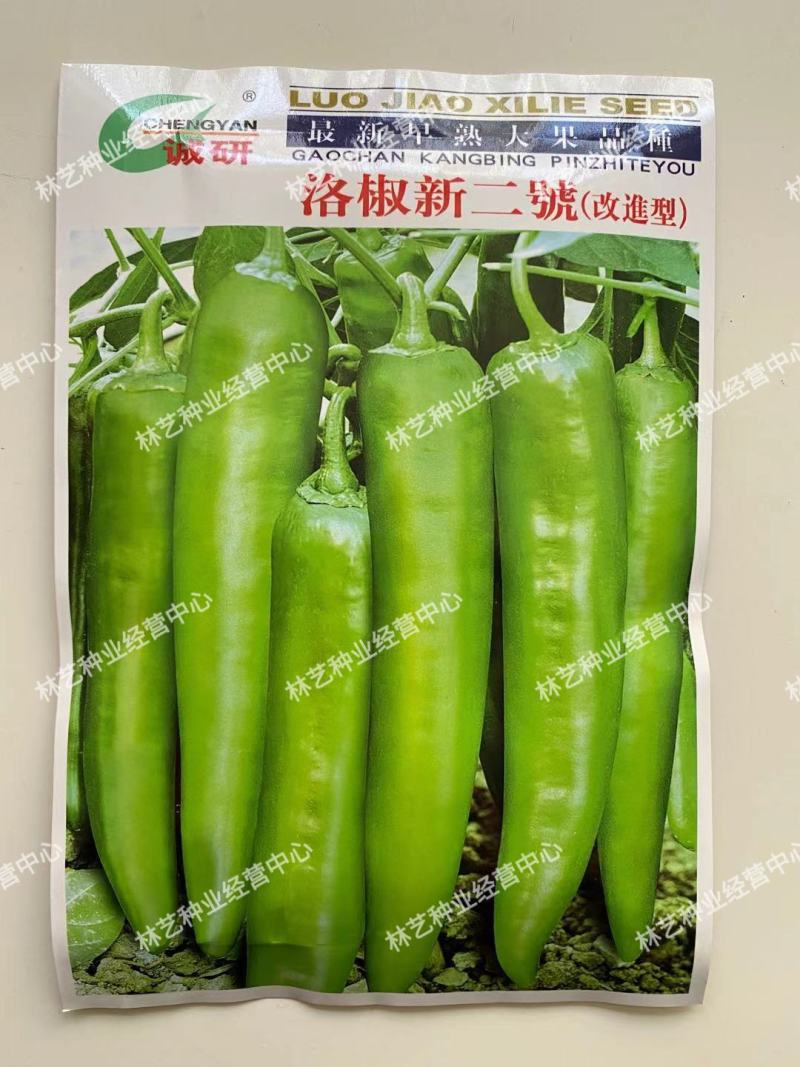 洛椒新2号(超大果型)牛角辣椒种子1000粒牛角椒种子