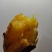 超级蜂蜜面包薯康平地瓜贵族红薯