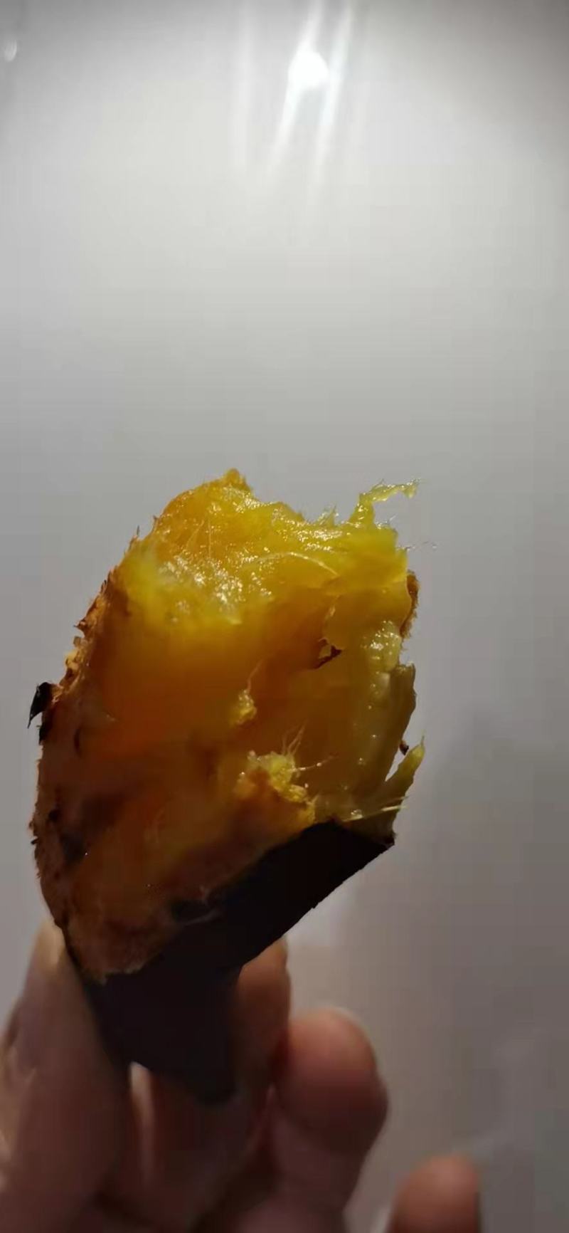 超级蜂蜜面包薯康平地瓜贵族红薯