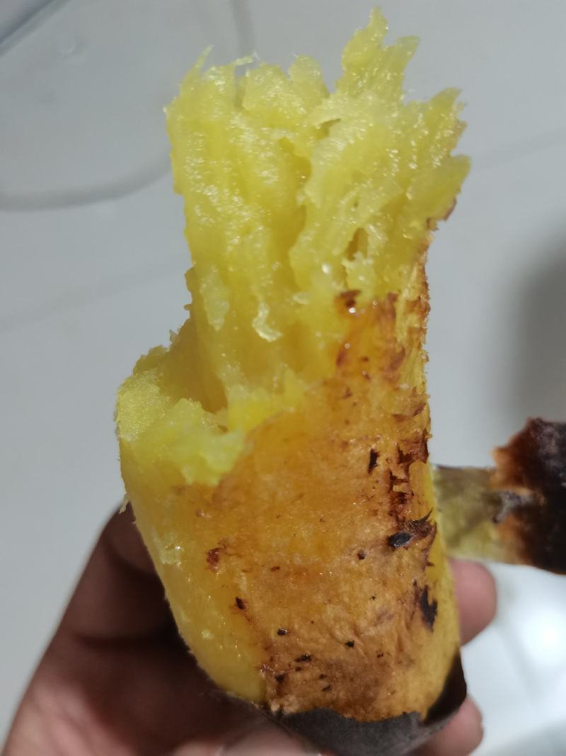 超级蜂蜜面包薯康平地瓜贵族红薯