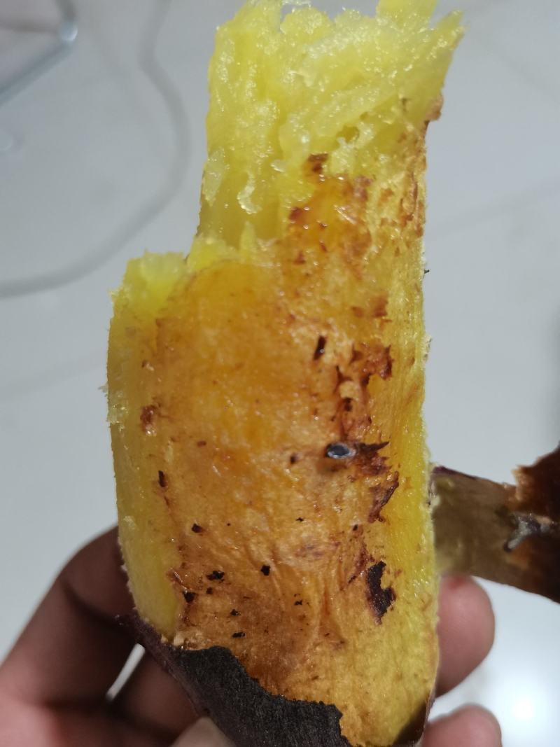 超级蜂蜜面包薯康平地瓜贵族红薯