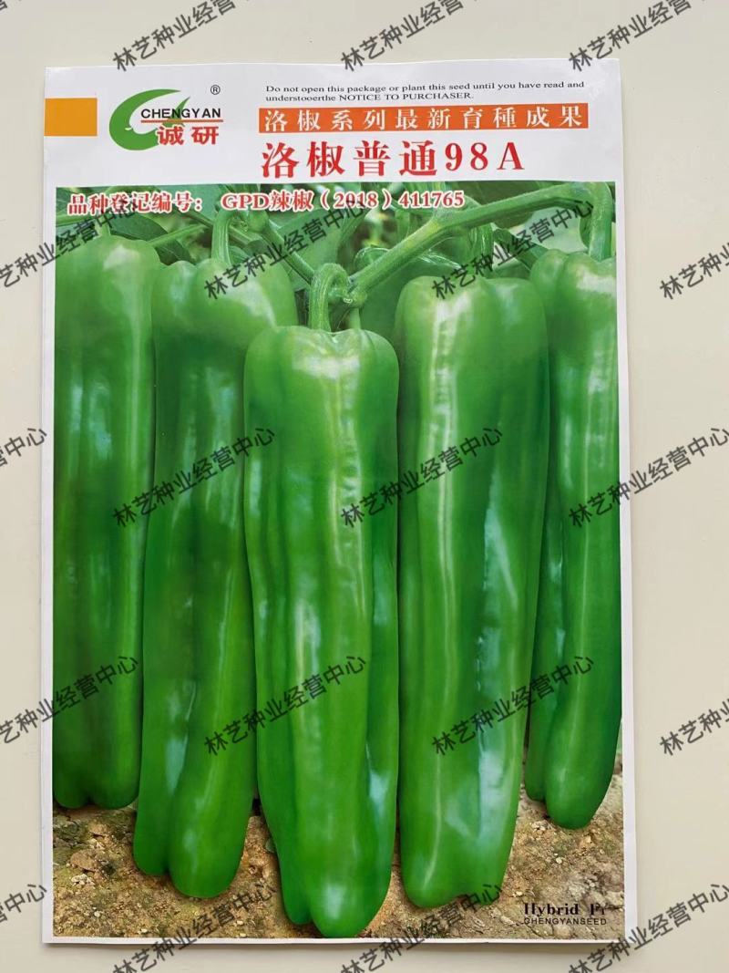 正品诚研洛椒普通98AF1薄皮略邹牛角椒菜椒辣椒种子籽