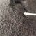 发酵鸡粪，，，，，，，，，，，，