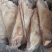 鸿运当头肥猪劈半猪脸猪头肉半猪头肥猪头劈半