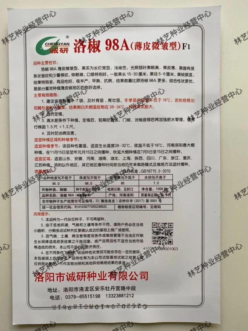 诚研洛椒98A薄皮微皱辣椒种孑子籽绿色长灯笼型皮薄微辣
