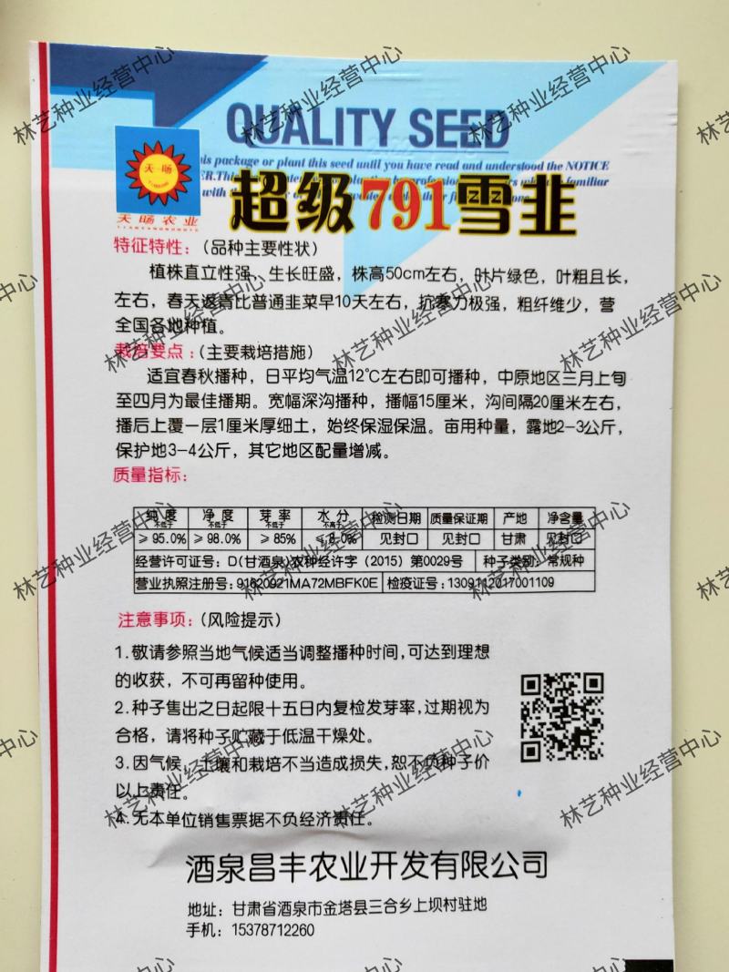 791雪韭种子四季不休眠农家盆栽宽叶种籽大叶蔬菜种孑