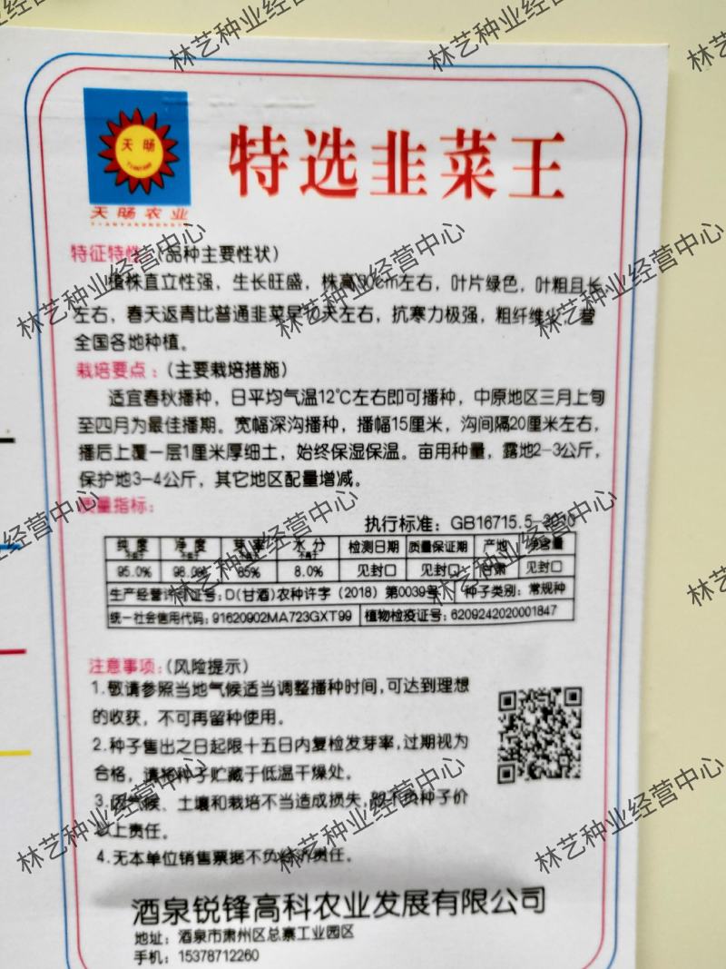 韭菜王白根种子韭菜独根大棚小拱棚用韭菜籽高产优质韭菜种