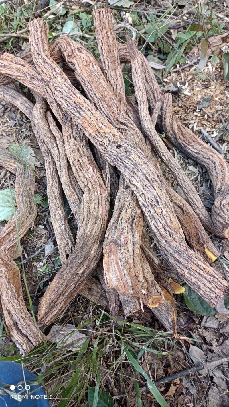 江西深山野生中药材铁包金，纯根鲜货量大从优，可发往全国，