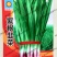 紫根韭菜种子老品种红根韭菜籽阳台菜园春秋冬四季播种蔬菜籽