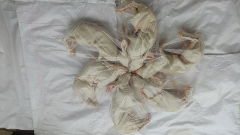 活杀，老兔，新鲜兔肉，量大从优，服务至上，质量就是生命，