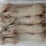活杀，老兔，新鲜兔肉，量大从优，服务至上，质量就是生命，
