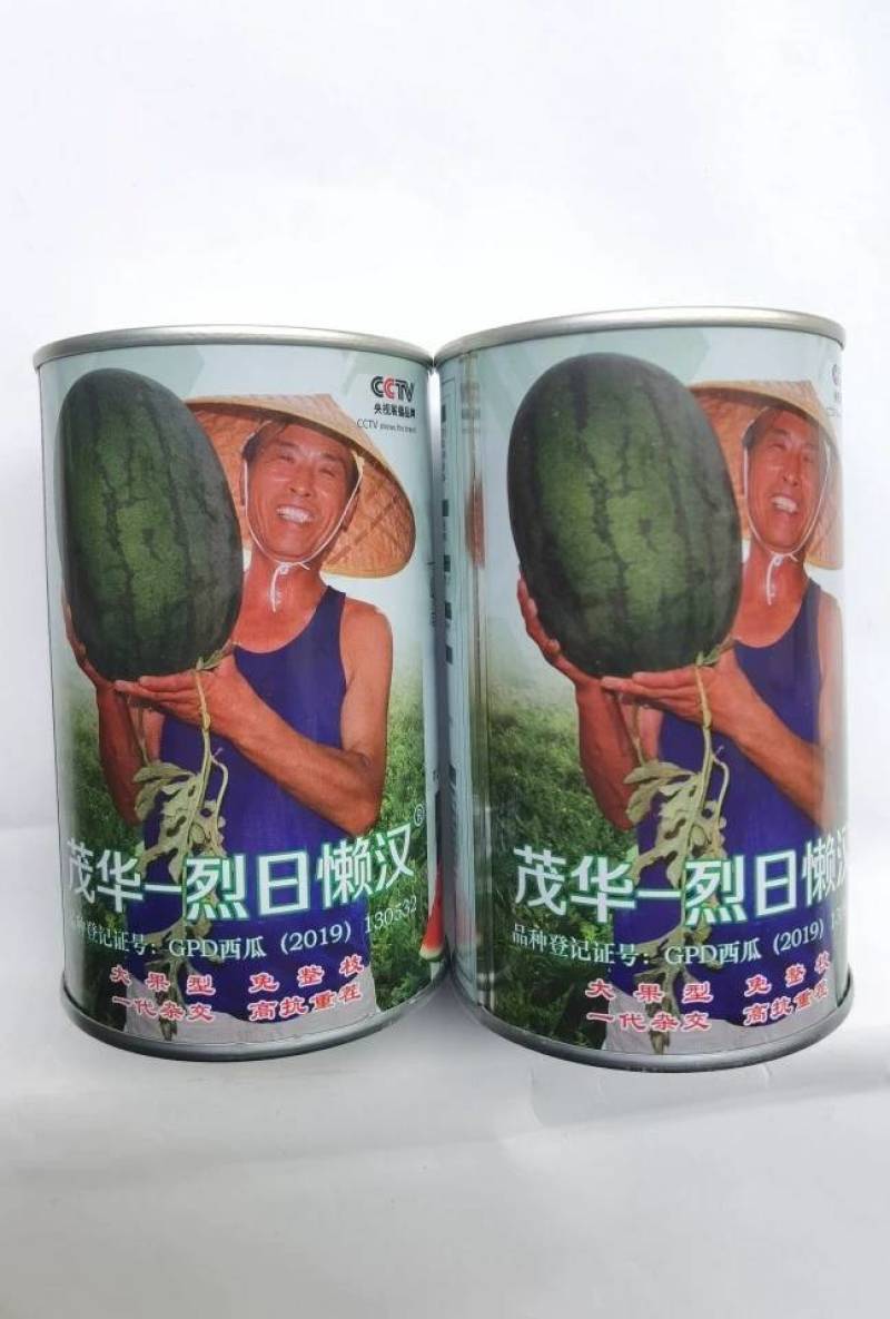 烈日懒汉西瓜种子大红瓤抗重茬抗病耐热抗裂超大果超甜西瓜种