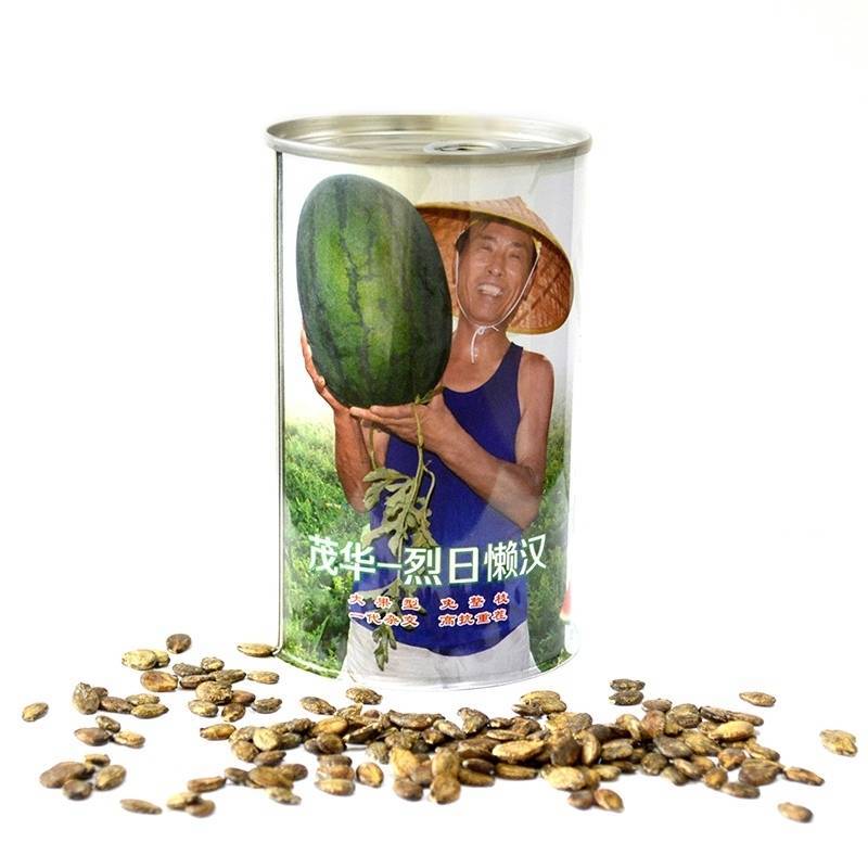 烈日懒汉西瓜种子大红瓤抗重茬抗病耐热抗裂超大果超甜西瓜种