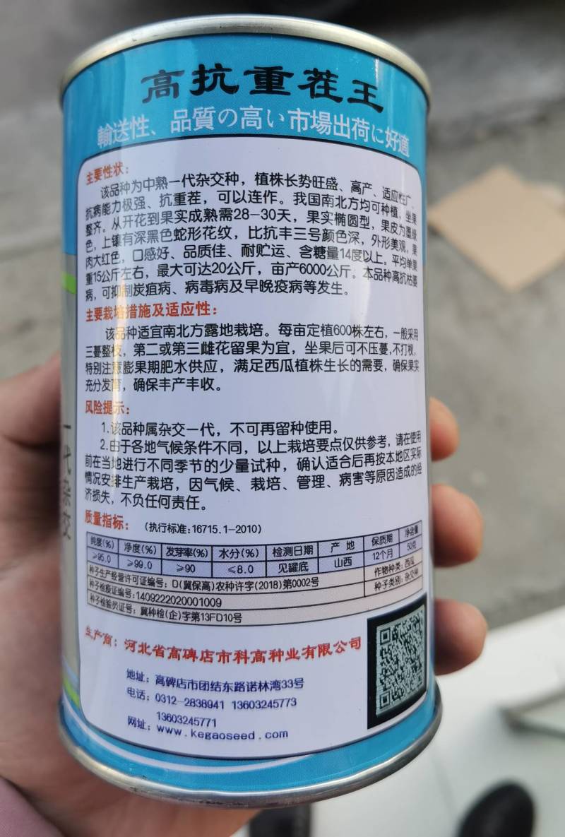 懒汉重茬王西瓜种子巨型特大免整枝抗病龙卷风水果西瓜种子