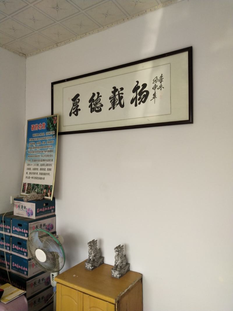 山东潍坊现有桃园80亩对外承包转让，位置佳需要的联系