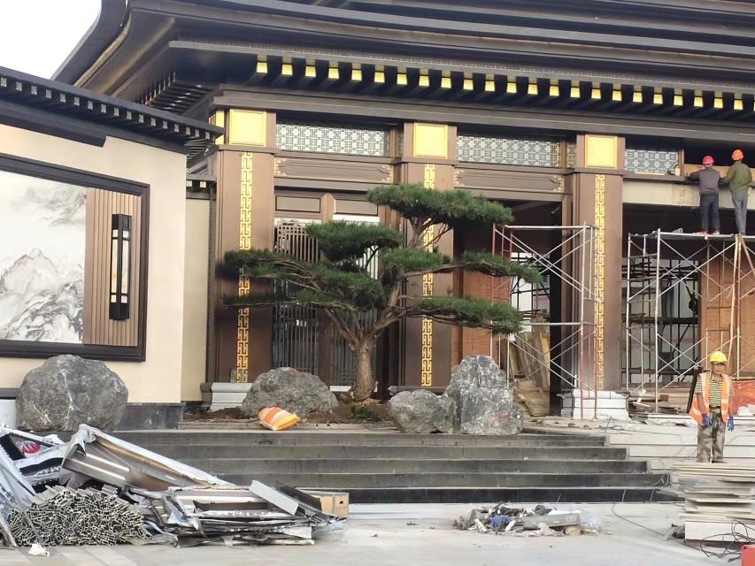 白皮松盆景在中式家居中的装饰效果