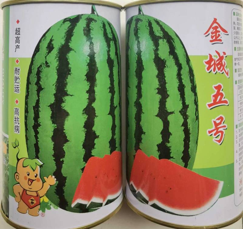 【双红瓤】金城五号西瓜种子特大甘肃压砂西瓜沙漠西瓜种子