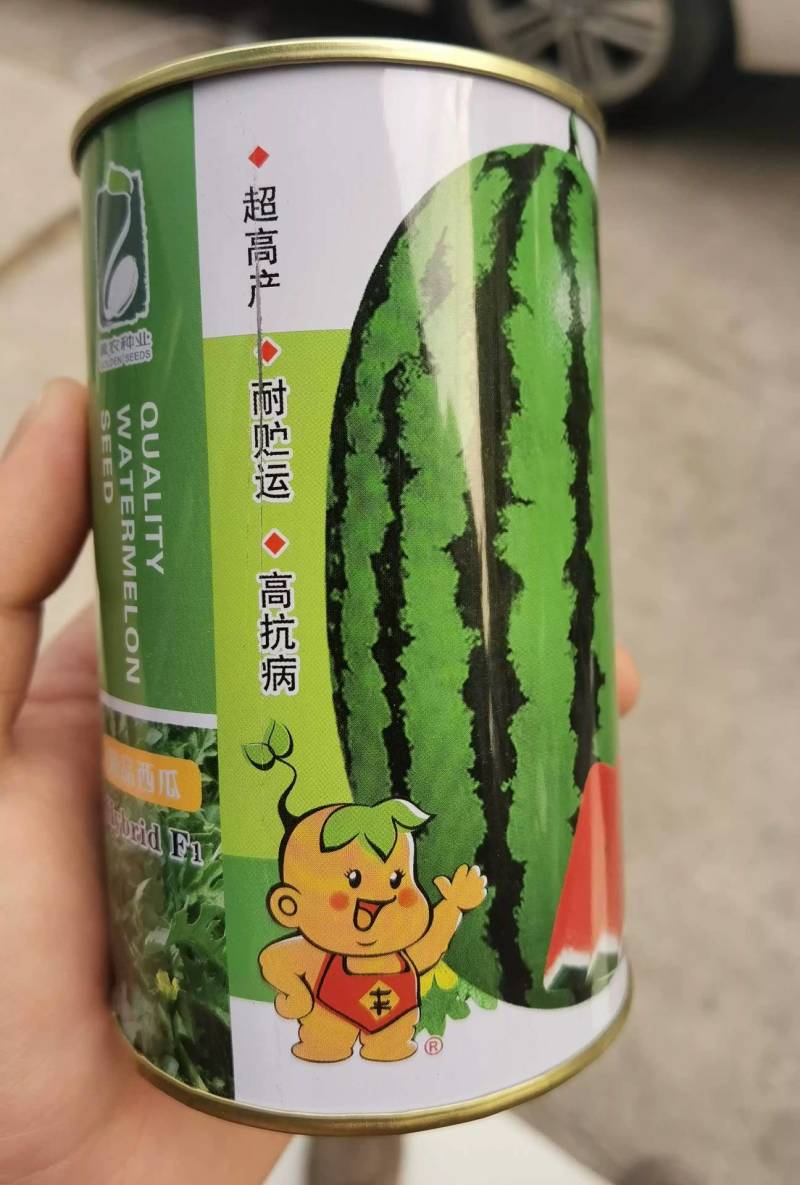 【双红瓤】金城五号西瓜种子特大甘肃压砂西瓜沙漠西瓜种子