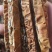 瓜蒌全瓜蒌中药材批发瓜蒌质量保证量大从优