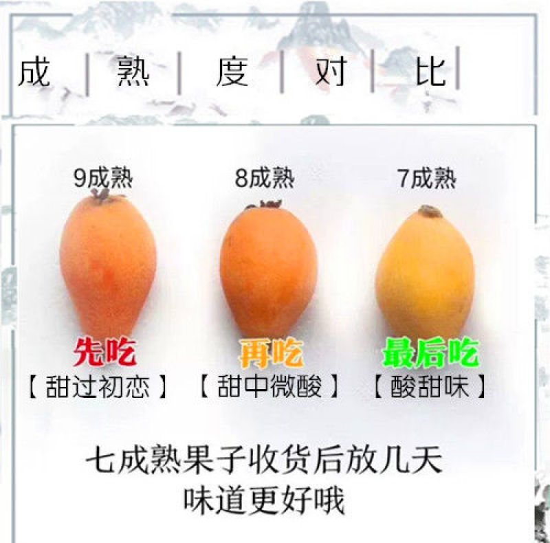 四川凉山德昌县早钟甜枇杷产地代办电商一件代发