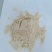 【优质好货】油渣，品质上乘，货真价实，量大优惠！