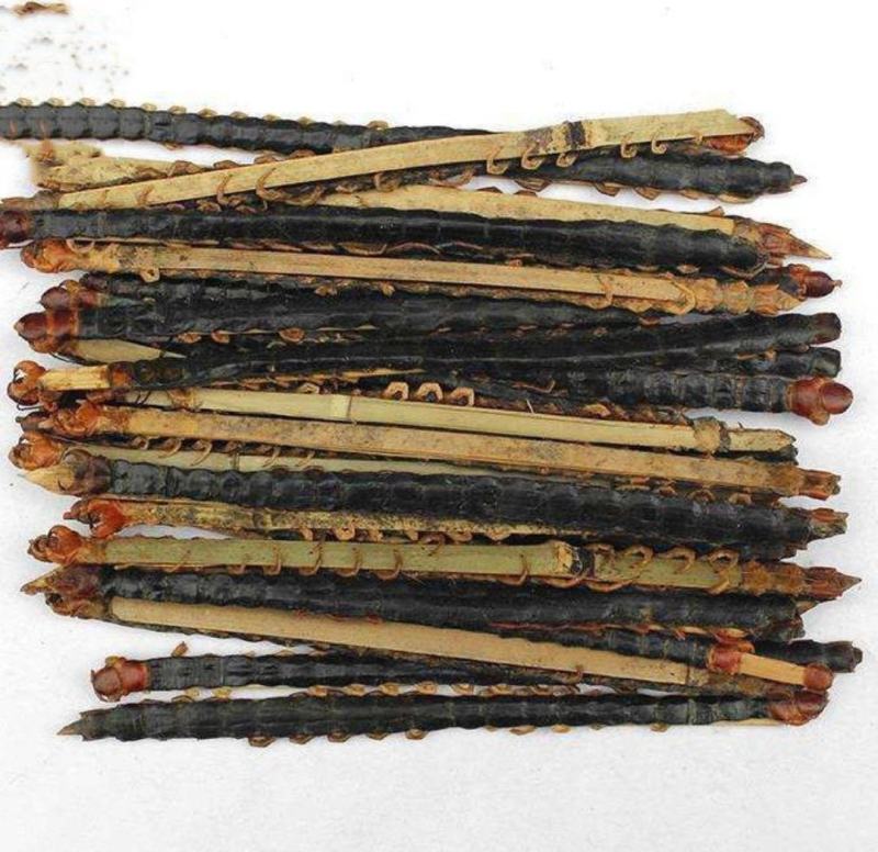 蜈蚣各种规格蜈蚣中药材批发蜈蚣质量保证量大从优