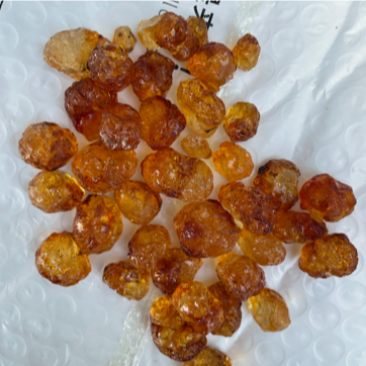 人工修剪桃胶/精修桃胶/无杂桃胶/食用桃胶