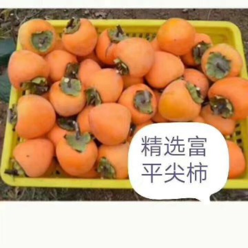 陕西省富平县农家自产吊霜柿饼，保质保量，欢迎品偿。