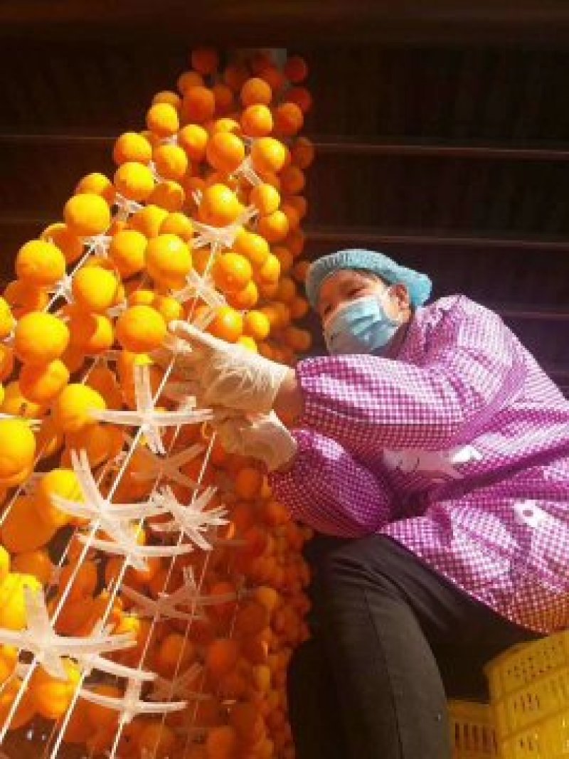 陕西省富平县农家自产吊霜柿饼，保质保量，欢迎品偿。