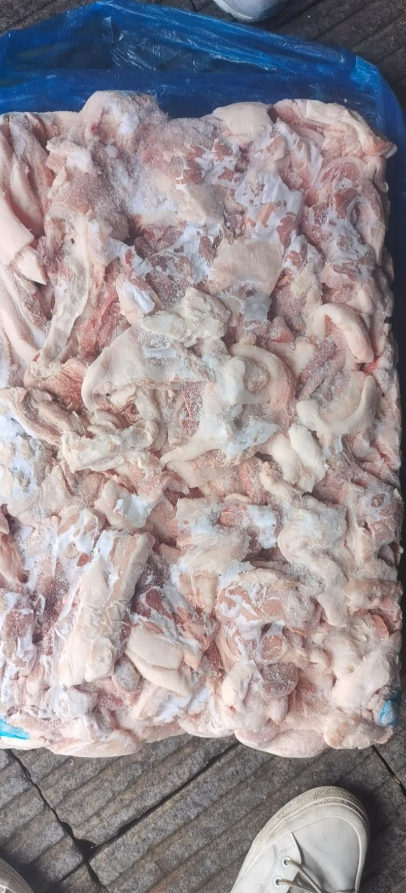 高品质肥猪倒37，质量杠杠的，食品厂专用