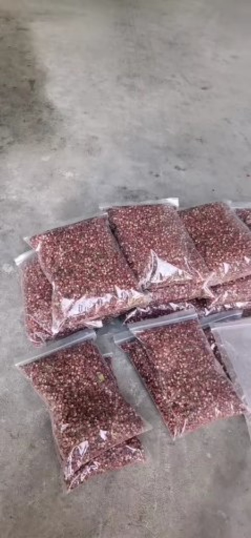 陕西省富平县大红袍花椒，农户产地花椒。