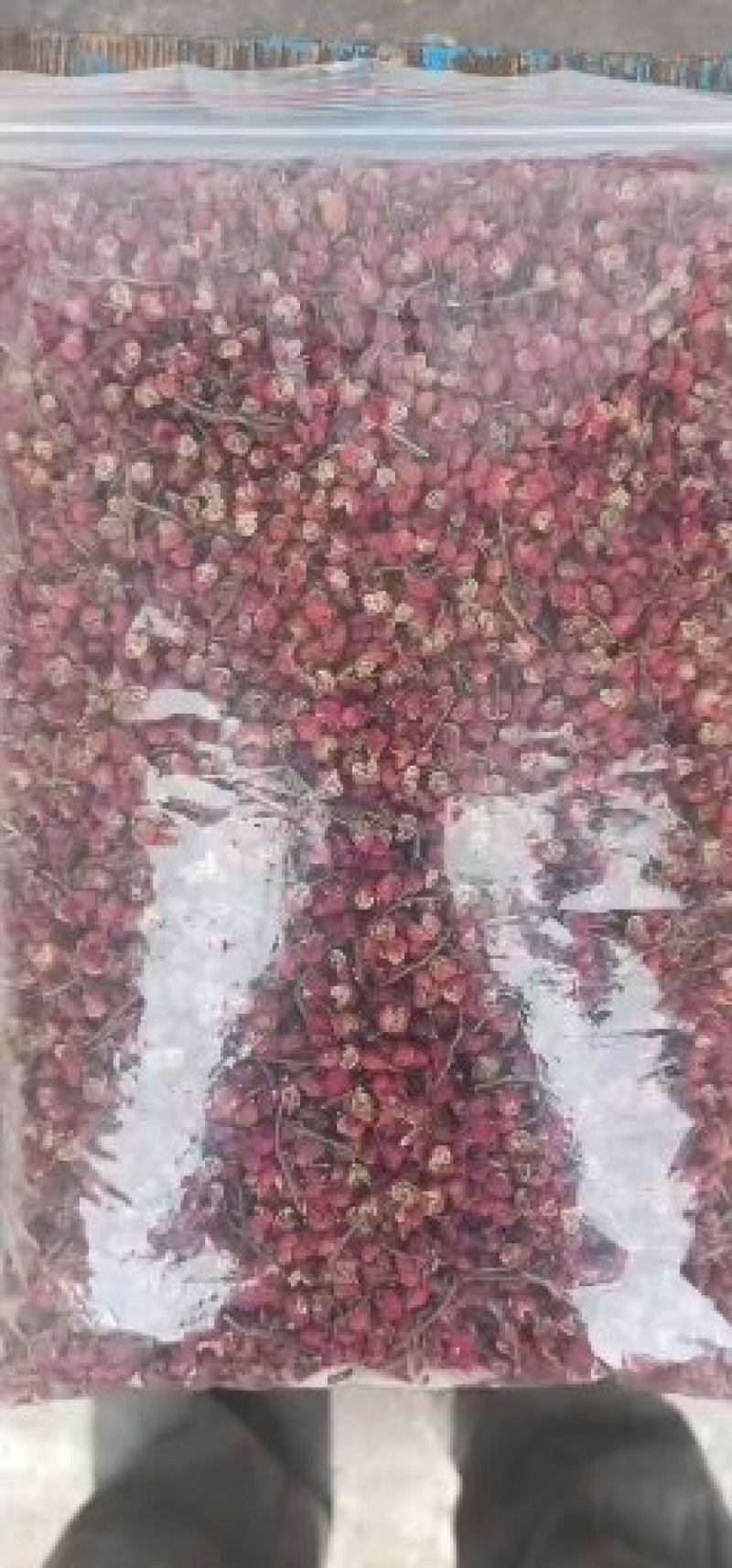 陕西省富平县大红袍花椒，农户产地花椒。