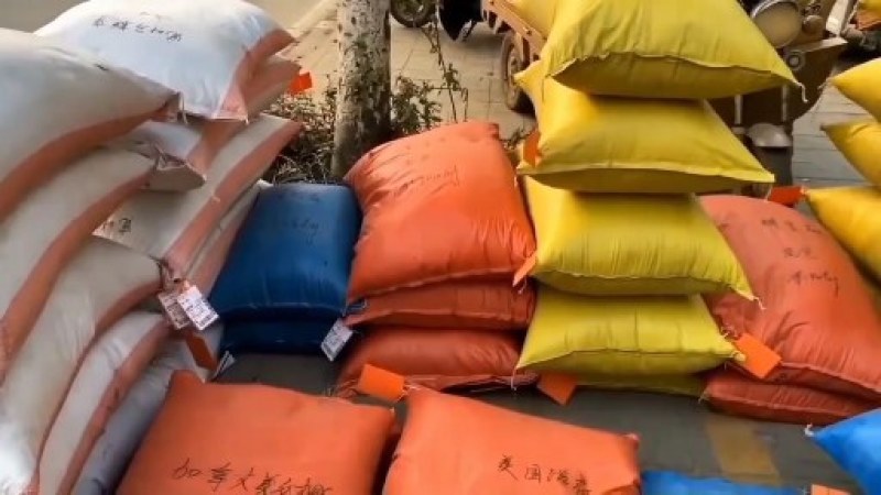 蓝花鸢尾种子蝴蝶兰种子多年生宿根耐湿耐阴湿地绿化公园庭院